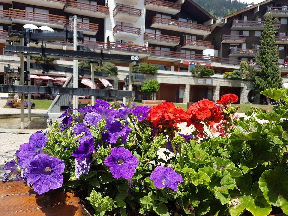 Holidays Groupes Анзер Экстерьер фото
