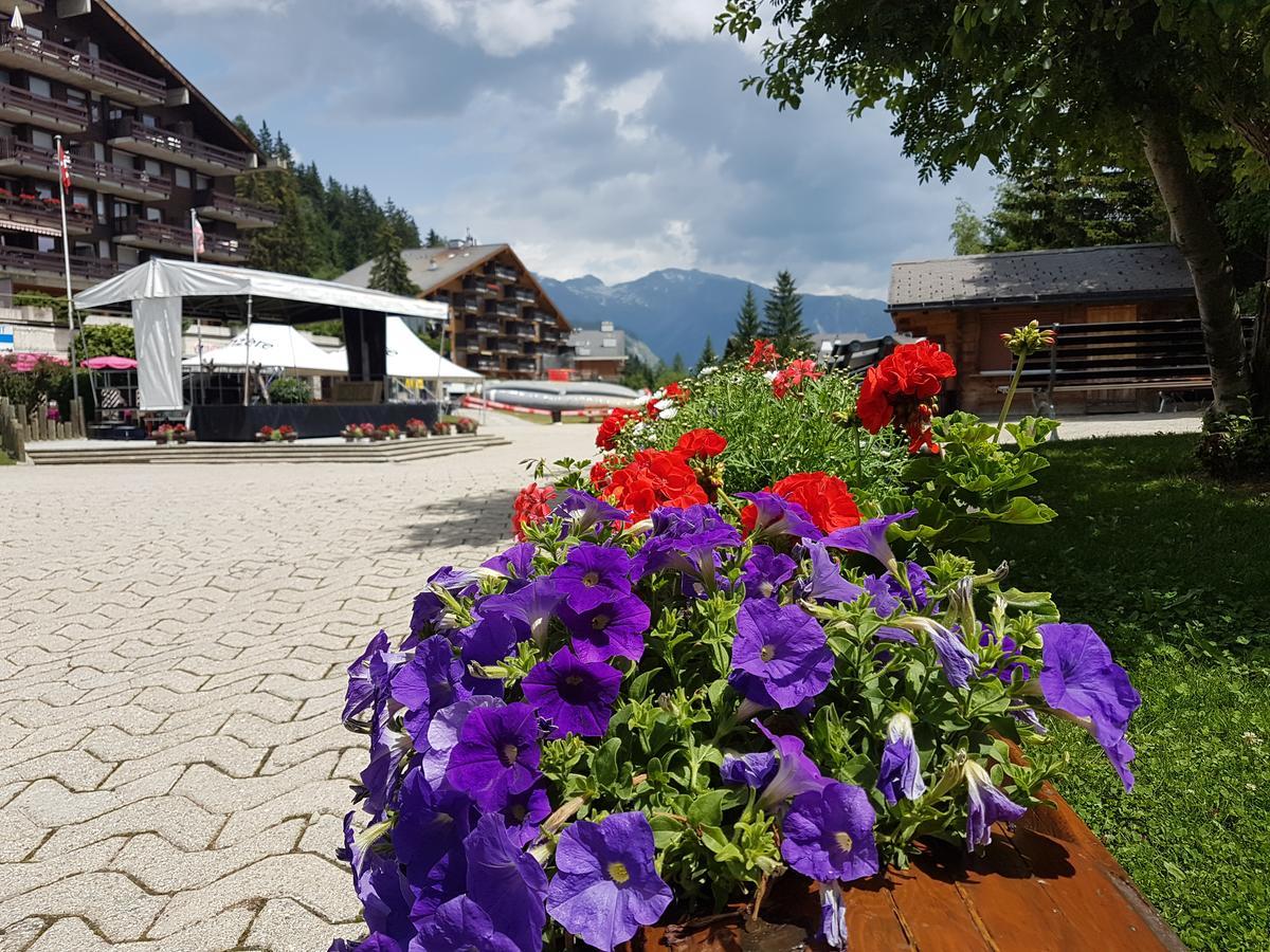 Holidays Groupes Анзер Экстерьер фото